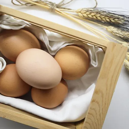 Dimora Pacelli Feriehus *