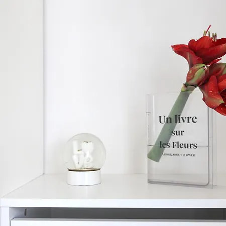 度假居 Dimora Pacelli